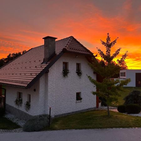 Holiday Home Dobrotin Vojnik Exteriér fotografie