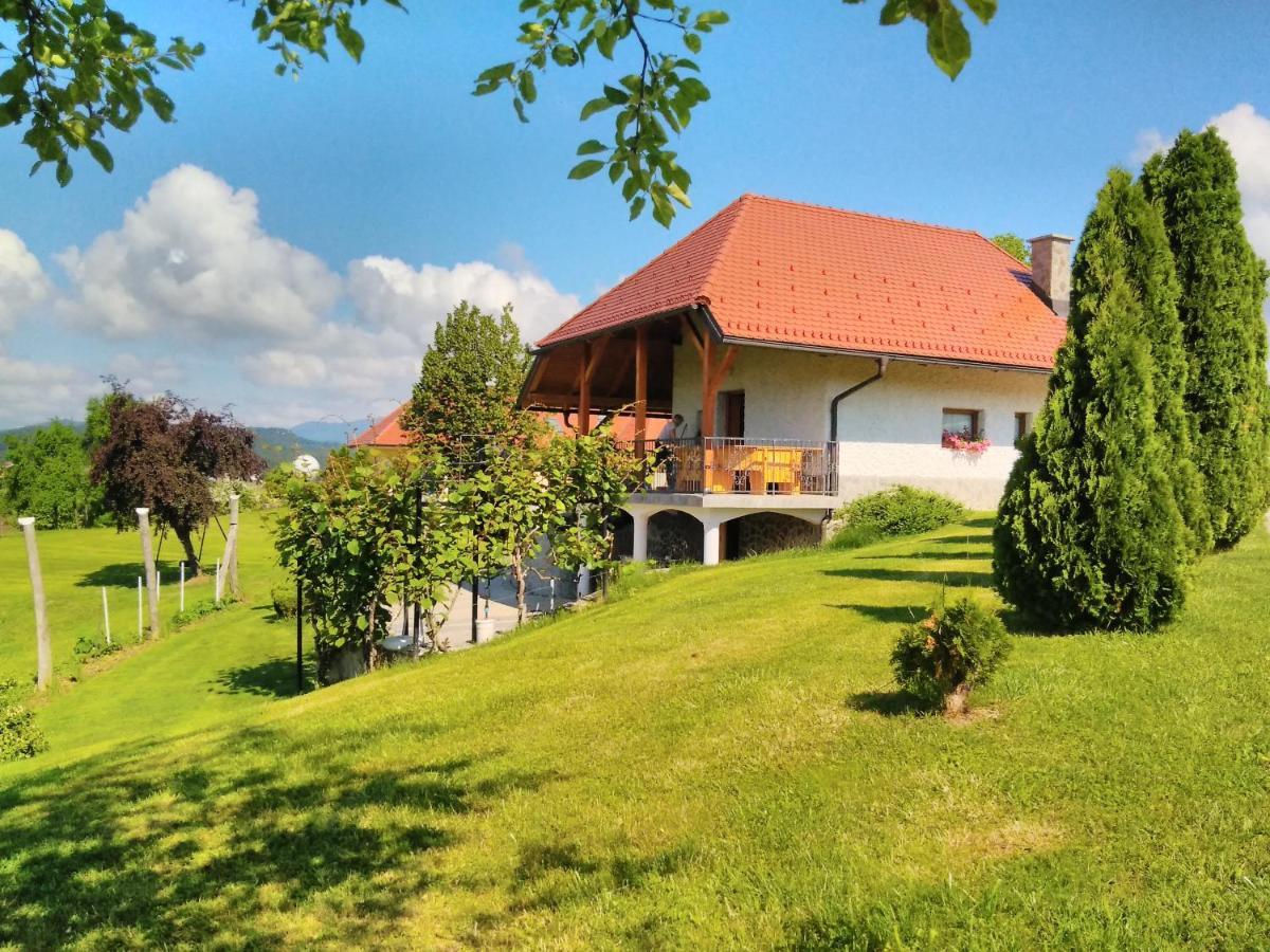 Holiday Home Dobrotin Vojnik Exteriér fotografie