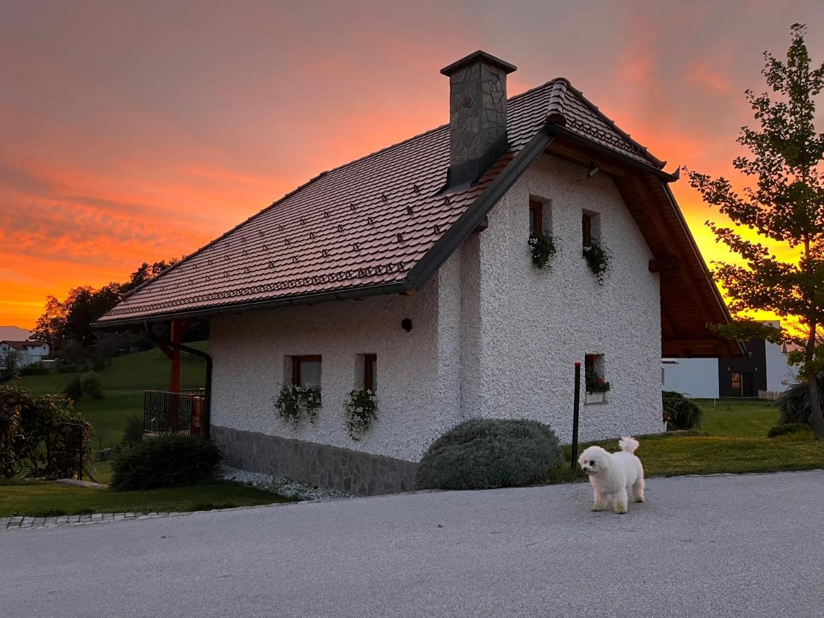 Holiday Home Dobrotin Vojnik Exteriér fotografie