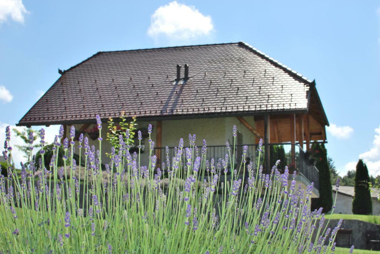 Holiday Home Dobrotin Vojnik Exteriér fotografie