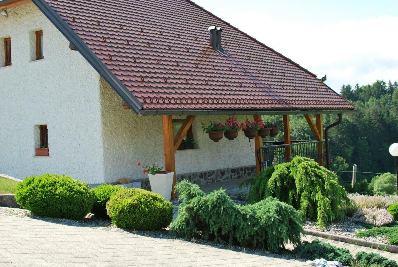 Holiday Home Dobrotin Vojnik Exteriér fotografie